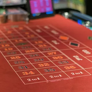 너구리벳 가입코드 완벽 가이드